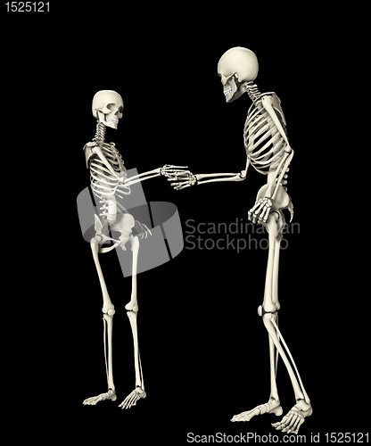 Image of Skeletons Meeting