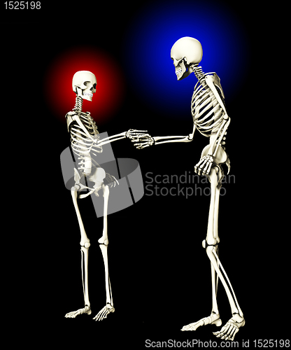 Image of Skeletons Meeting