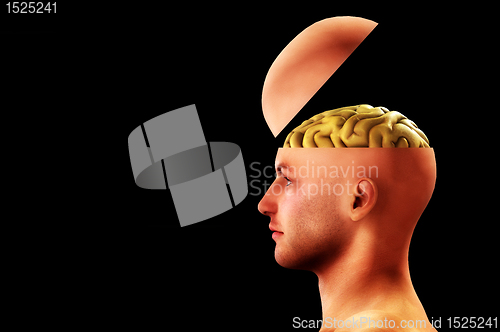 Image of Profile Open Minded Head 