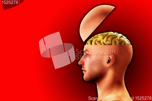 Image of Profile Open Minded Head 