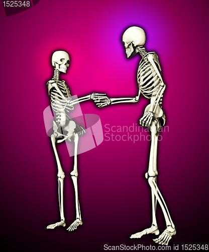 Image of Skeletons Meeting