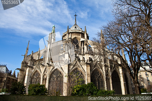 Image of Notre Dame Cathedral - Paris