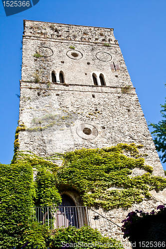 Image of Castle covered by ivy