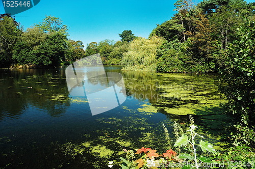 Image of roath park lake