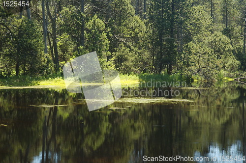 Image of lake in czech mountain