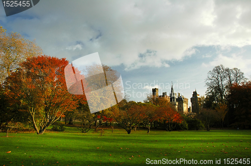 Image of bute park