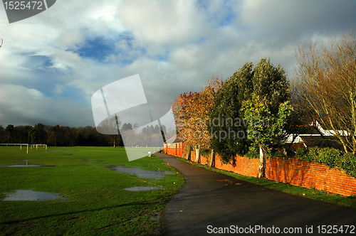 Image of cardiff bute park