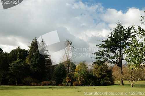 Image of bute park