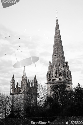 Image of Cardiff Cathedral