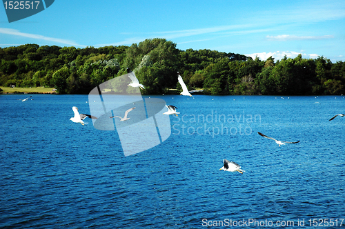 Image of sully lake