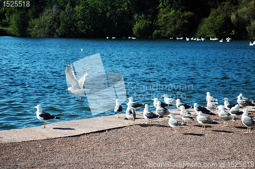 Image of sully lake