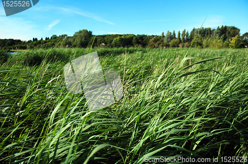 Image of sully lake