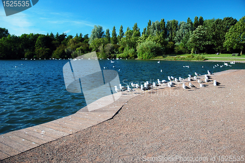 Image of sully lake