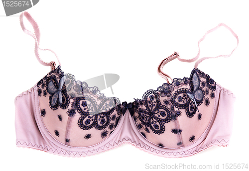 Image of Women's bra isolated on a white background.