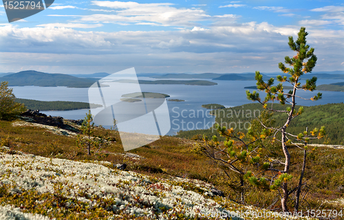 Image of landscape