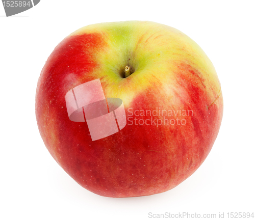 Image of red apple