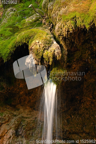 Image of Waterfall