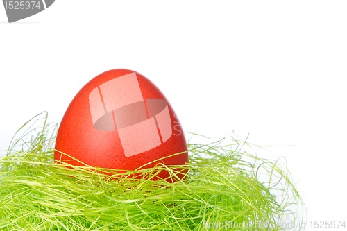 Image of easter egg in nest