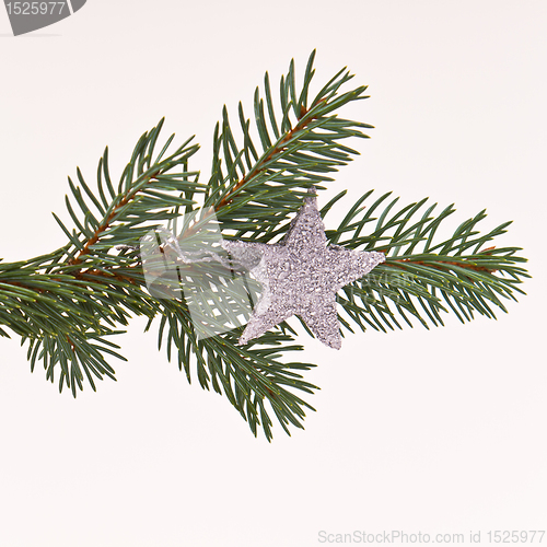 Image of Christmas tree with star