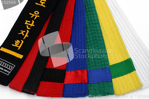 Image of Martial Arts Belts 1