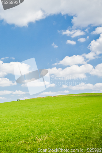 Image of agriculture landscape