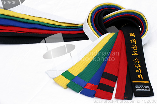 Image of Martial Arts Belts 2