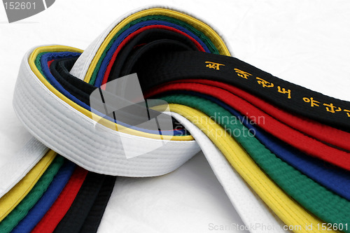 Image of Martial Arts Belts 3