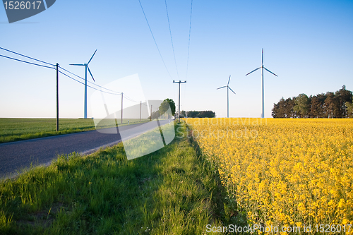 Image of windmill  farm in the rape field