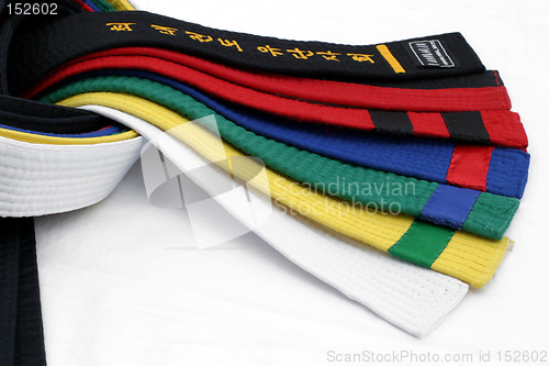 Image of Martial Arts Belts 4