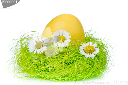 Image of easter egg in nest