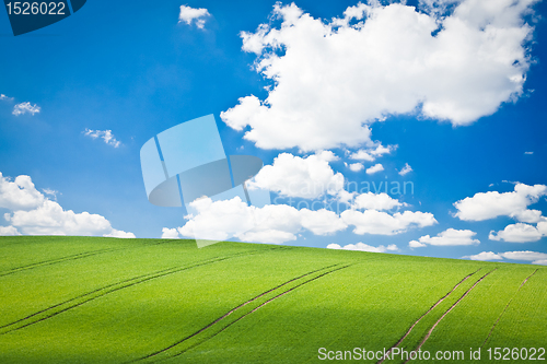 Image of green field