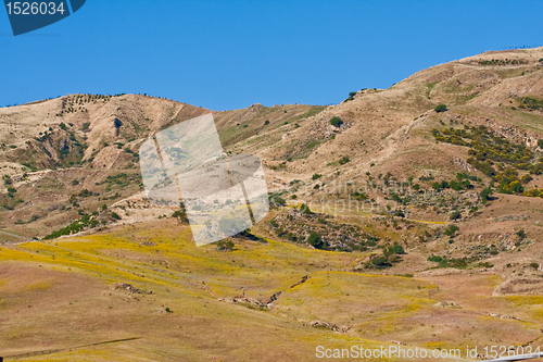 Image of typical sicilian landscape