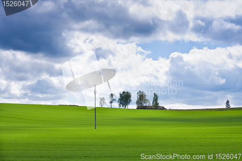 Image of green field