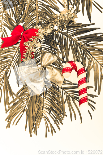 Image of Christmas branch 