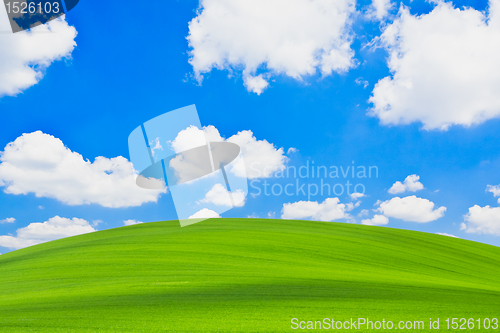 Image of green field