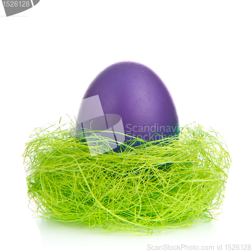Image of easter egg in nest