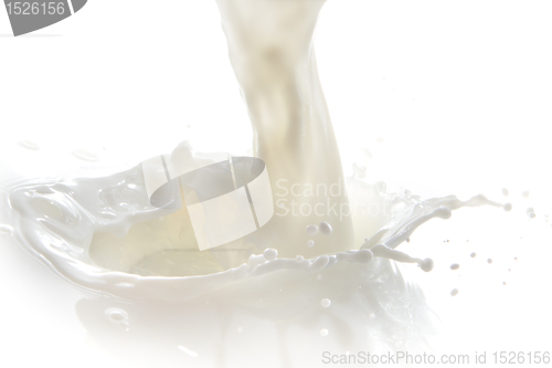 Image of milk splash