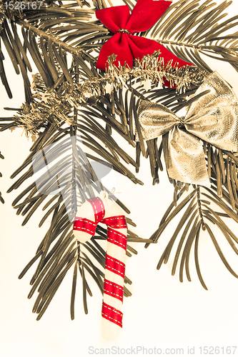Image of Christmas branch 