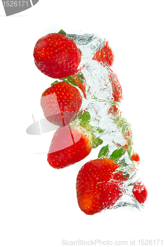 Image of strawberry in the water