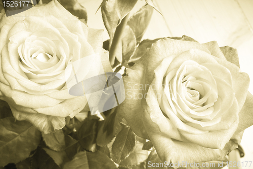 Image of rose bouquet