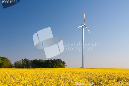 Image of windmill  farm in the rape field