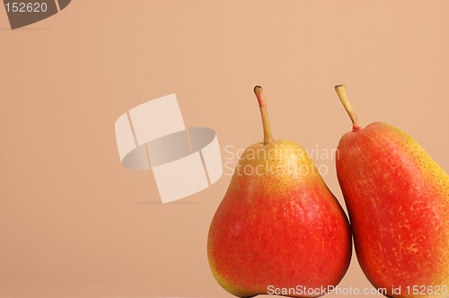 Image of Two Forelle pears