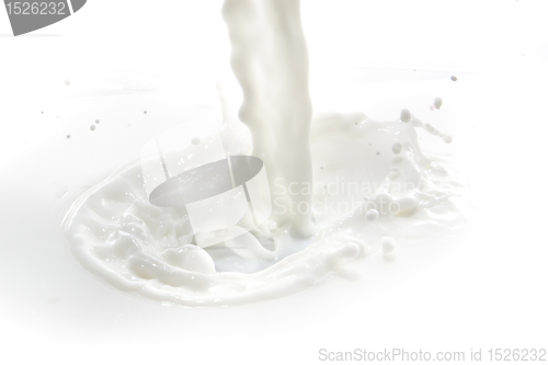 Image of milk splash