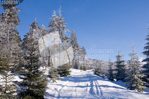 Image of fresh snow in the mountains