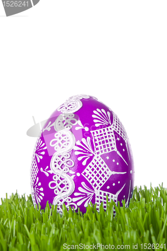 Image of easter egg in grass