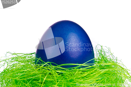 Image of easter egg in nest
