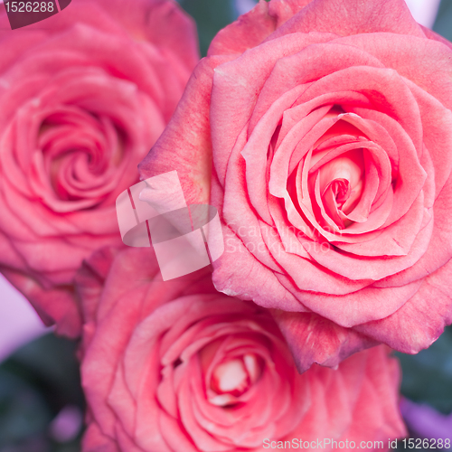 Image of rose bouquet