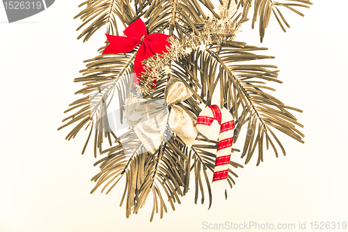 Image of Christmas branch 