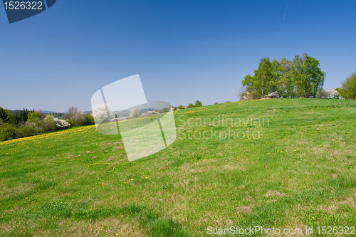 Image of grassland in the springtime