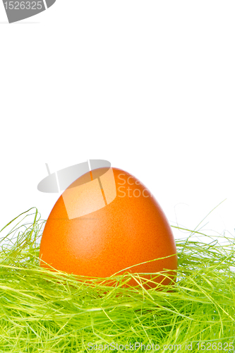 Image of easter egg in nest